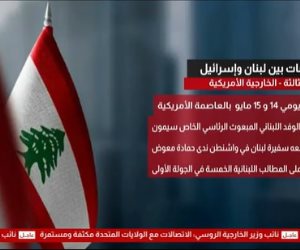 خبيرة للقاهرة الإخبارية: لا هدنة فعلية في لبنان وإسرائيل تواصل الاعتداءات