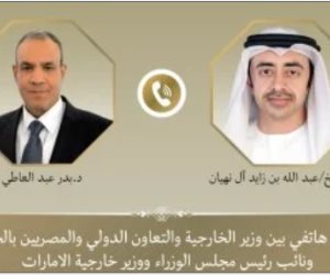 وزير الخارجية يبحث مع نظيره الإماراتي جهود خفض التصعيد ويدين استهداف محطة براكة