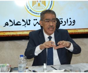 ضياء رشوان: الدولة حريصة على دعم الإعلام الخاص وتعزيز دوره الوطني