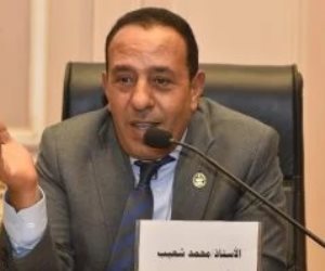برلمانى: مشروع الدلتا الجديدة جسر الماضي والمستقبل لتعزيز الأمن الغذائي