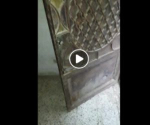 الأجهزة الأمنية تكشف حقيقة إدعاء سيدة اقتحام قوة من مركز شرطة كفر الدوار لمنزلها