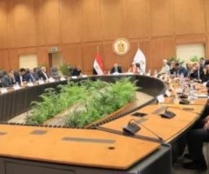 الأعلى للجامعات يوافق على إنشاء فرع لجامعة القاهرة بدولة إريتريا