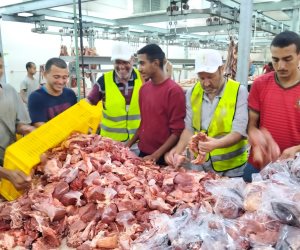 الأوقاف تبدأ أعمال التشفية والتعبئة والتجميد ضمن مشروع صكوك الأضاحي تمهيدًا للتوزيع على الأسر الأولى بالرعاية