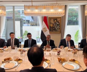 وزير الخارجية يلتقى ممثلى كبرى الشركات الكورية لبحث تعزيز الاستثمار فى مصر