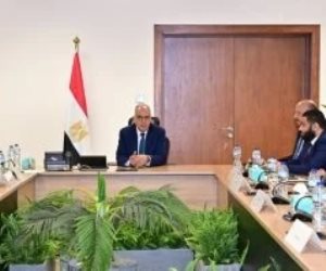 مصر تطلق آلية بـ 100 مليون دولار لتمويل مشروعات بدول حوض النيل الجنوبى