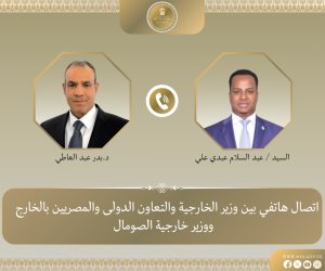 وزير الخارجية ونظيره الصومالي يبحثان تطورات الأوضاع بالصومال