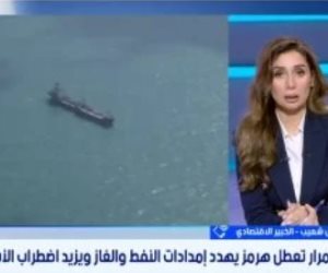خبير اقتصادى : توترات مضيق هرمز ترفع تكاليف الشحن 400%