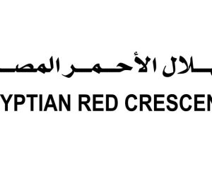 مراسل إكسترا نيوز: الهلال الأحمر المصري دفع 3139 طناً من المساعدات ضمن قافلة «زاد العزة» رقم 209 إلى قطاع غزة