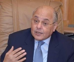 رئيس حزب الغد: مصر الركيزة الأساسية لجهود التهدئة في القضية الفلسطينية