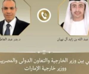 وزير الخارجية يبحث مع نظيره الإماراتى العلاقات الثنائية والتطورات الإقليمية