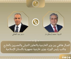 وزير الخارجية يبحث هاتفيا مع نظيره الباكستاني التطورات الإقليمية والجهود المشتركة لخفض التصعيد