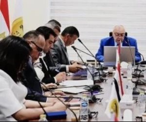  «النقل» : التشغيل التجريبي للقطار الكهربائي سبتمبر 2026 وسيبدأ من منطقة حدائق أكتوبر