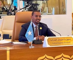 رسالة حاسمة من الصومال: لا اعتراف بتحركات "أرض الصومال" والجامعة العربية تساند موقفنا