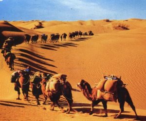 دار الإفتاء توضح حكم التهنئة بالعام الهجري الجديد