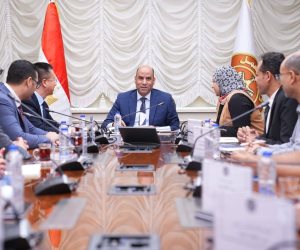 وزير العمل يبحث تعزيز التعاون مع هواوي مصر في مجالات التحول الرقمي