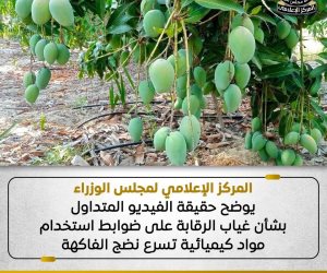 مجلس الوزراء يوضح حقيقة استخدام مواد كيميائية تسرع نضج الفاكهة