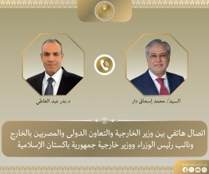 وزير الخارجية يبحث مع نظيره الباكستاني التطورات الإقليمية