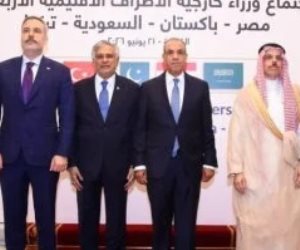 وزير الخارجية: مجموعة الأطراف الأربعة منصة للتشاور لتعزيز الأمن والاستقرار
