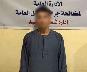 ضبط متهم بالنصب على المواطنين والاستيلاء على أموالهم عبر انتحال صفة موظف بنك بالمنيا