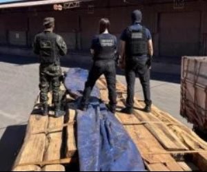 حدث بالبرازيل ..الكشف عن 50 طنا من الكوكايين مخبأة داخل ألواح خشبية في أكبر عملية تهريب