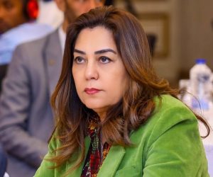 وزيرة التنمية المحلية والبيئة: مرور ميداني للجنة الحوكمة بالوزارة على 3 أحياء بمحافظة القاهرة