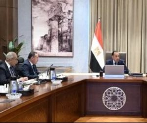 خلال اجتماع مع وزير التعليم العالي .. رئيس الوزراء يستعرض الموقف التنفيذى لمشروع المدينة الطبية لجامعة عين شمس