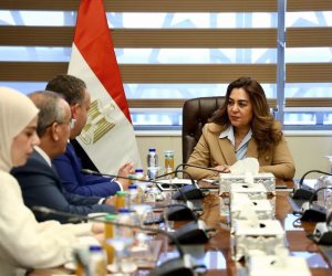 وزيرة التنمية المحلية تبحث مع نقيب المهندسين انشاء منصة رقمية مشتركة