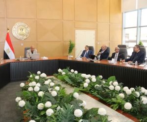 وزير الكهرباء يجتمع بأساتذة الجامعات وأعضاء اللجنة الاستشارية بمجالات الطاقة المتجددة