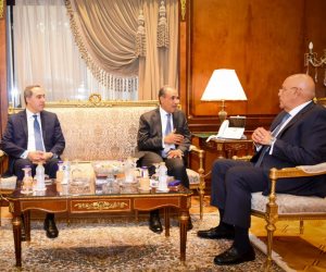 بدر عبد العاطي: تعزيز التنسيق مع اللجان البرلمانية المختصة لدعم أولويات السياسة الخارجية المصرية