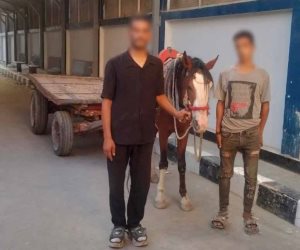 ضبط شخصين لإلقائهما المخلفات بعربة كارو في المرج
