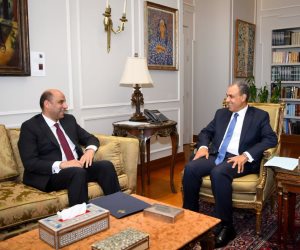 وزيرا الخارجية والعمل يبحثان تعزيز التعاون في ملف العمالة المصرية بالخارج