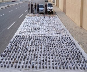 ضبط قرابة (2) طن مواد مخدرة بقيمة (125) مليون جنيه في السويس