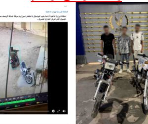 كشف ملابسات سرقة دراجة نارية في الدقهلية وضبط المتهمين