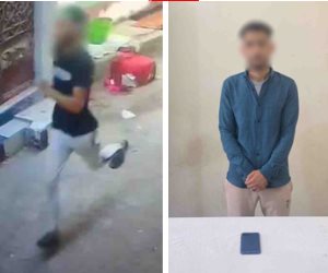 ضبط عاطل سرق تليفون سيدة أثناء سيرها بأحد شوارع البحيرة