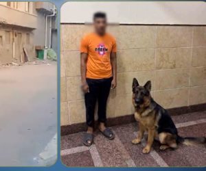 أمن البحيرة يتحفظ على كلب وصاحبة لمهاجمة سيدة أثناء سيرها (فيديو)