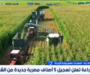 وزارة الزراعة: استنباط 25 صنفاً من القمح و30 هجيناً من الذرة