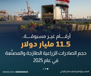 11.5 مليار دولار قيمة صادرات مصر الزراعية الطازجة والمصنعة عام 2025.. «تنمية الصادرات»: دراسة فرص التوسع الأفقي والرأسي