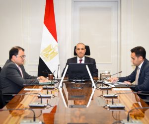 عبدالعاطي يبحث مع وزير خارجية سيشل سبل تعزيز العلاقات الثنائية بمناسبة مرور ٥٠ عاماً على العلاقات بين البلدين