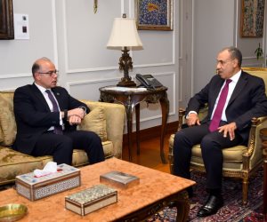 وزيرا الخارجية والاستثمار يبحثان تنسيق السياسات وتكامل الجهود لدعم استثمارات الشركات المصرية في إفريقيا