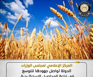مجلس الوزراء: الدولة تواصل جهودها للتوسع في زراعة المحاصيل الاستراتيجية.. وما يُتداول عن تراجعها غير صحيح