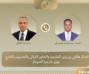 وزير الخارجية يبحث مع نظيره الصومالي العلاقات الثنائية وتطورات الأوضاع في القرن الأفريقي