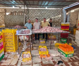 محافظة الجيزة: ضبط 60 طنًا من مقطعات الدواجن والأغذية غير الصالحه للاستهلاك الآدمي