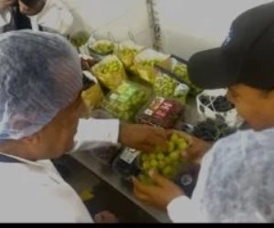 رئيس الوزراء يتذوق العنب خلال تفقده إحدى مزارع التصدير فى البحيرة