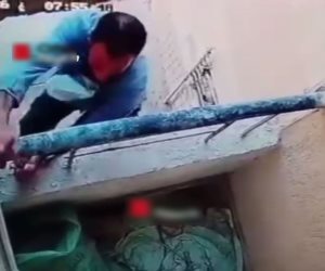 ضبط متهم سرق (6) شقق سكنية بأسلوب التسلل في الجيزة