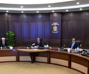 مدبولي: تنفيذ تكليفات الرئيس بشأن العمالة غير المنتظمة والمهن الحرة 