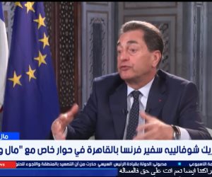 سفير فرنسا بالقاهرة: مصر مركزا للطاقة الخضراء وتمتلك مقومات استثنائية