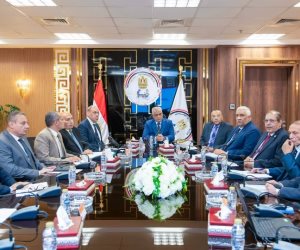 وزير الإنتاج الحربي: تطوير صناعة الذخائر أولوية استراتيجية لتعزيز التصنيع المحلي وتلبية احتياجات القوات المسلحة