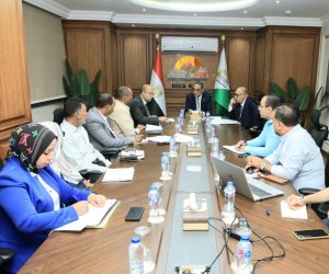 محافظ الجيزة يتابع خطط العمل ونسب إنجاز المشروعات بمركز الصف