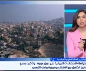 أستاذ علوم سياسية: مصر تعتبر أمن الخليج جزءاً لا يتجزأ من أمنها القومي