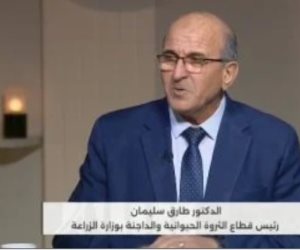 الزراعة: 11 مليار جنيه تمويلات لدعم صغار المربين وزيادة إنتاج اللحوم